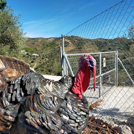 بيت للعطل Paraje El Pozo مالقة