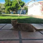 Tatil Evi Paraje El Pozo *