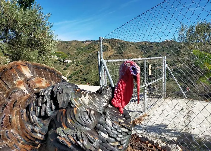 Hébergement de vacances Paraje El Pozo Málaga