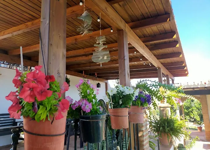 Hébergement de vacances Paraje El Pozo *