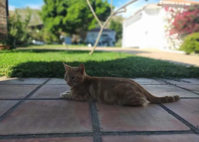 Hébergement de vacances Paraje El Pozo *