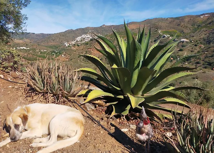 Hébergement de vacances Paraje El Pozo *