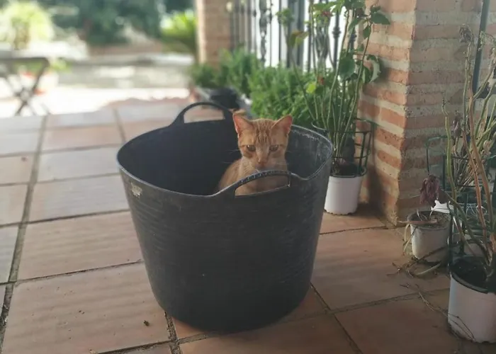 Hébergement de vacances Paraje El Pozo *