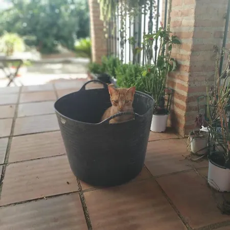 Hébergement de vacances Paraje El Pozo *